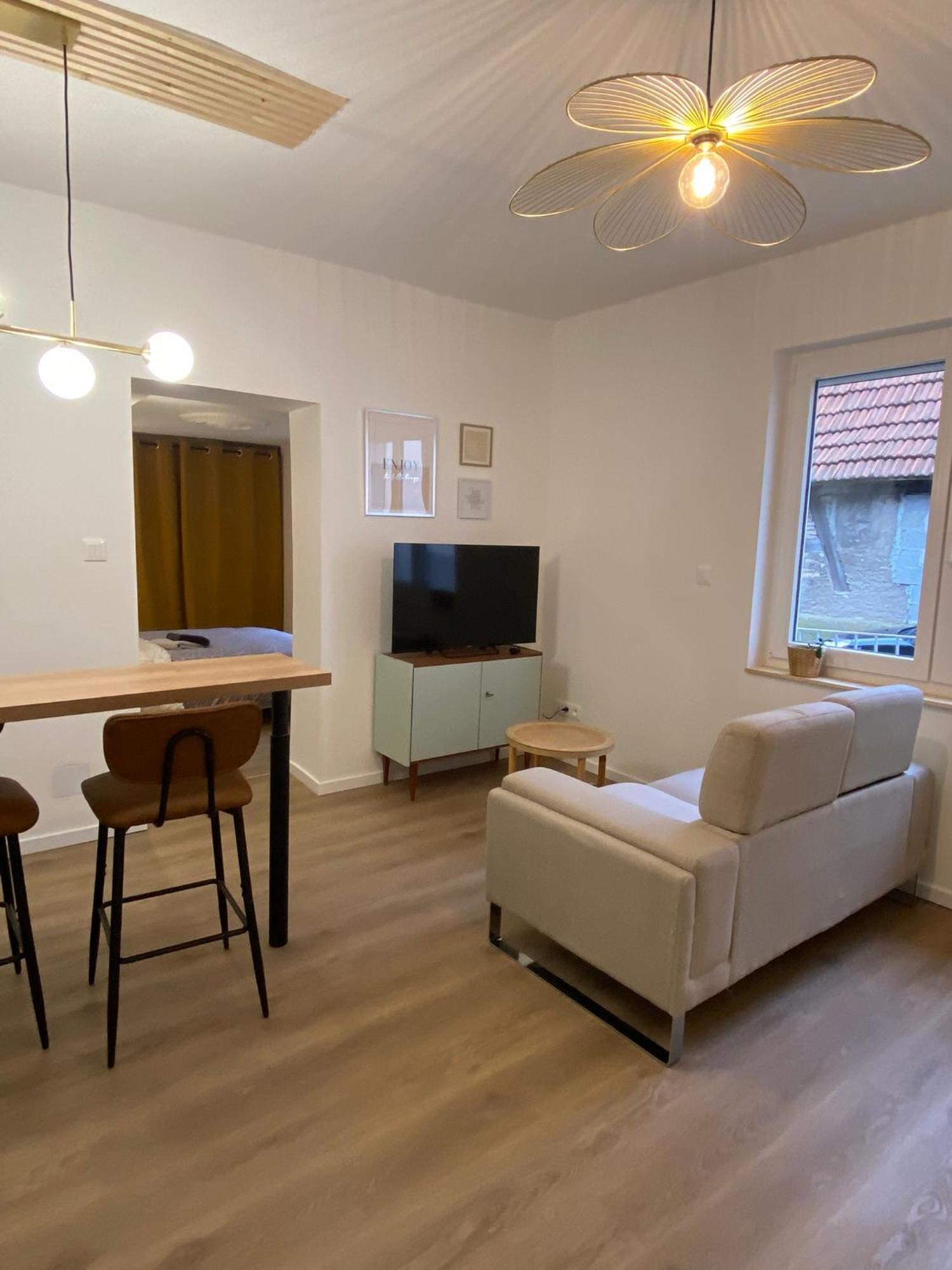 Appartement Cosy Soufflenheim Bagian luar foto